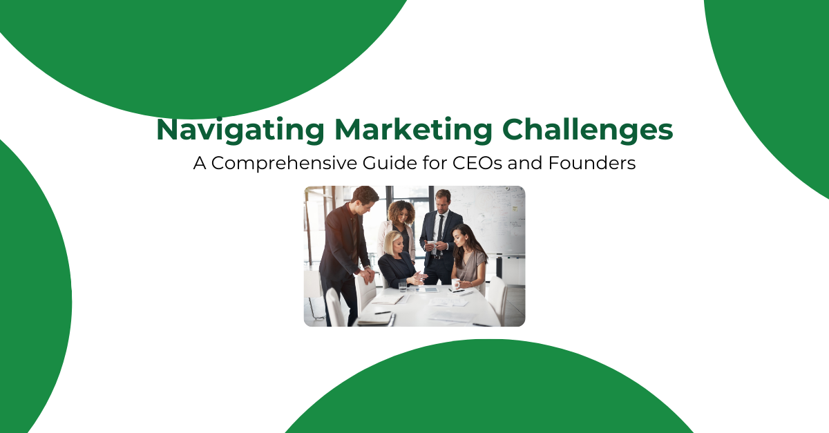 CEOs and Founders Navigating Marketing Challenges